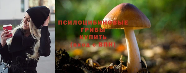 дживик Нижневартовск