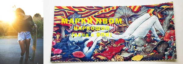 тгк Кострома