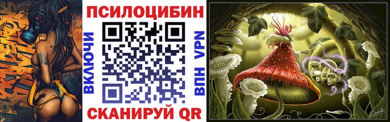 Галлюциногенные грибы мицелий  купить закладку  Болхов 