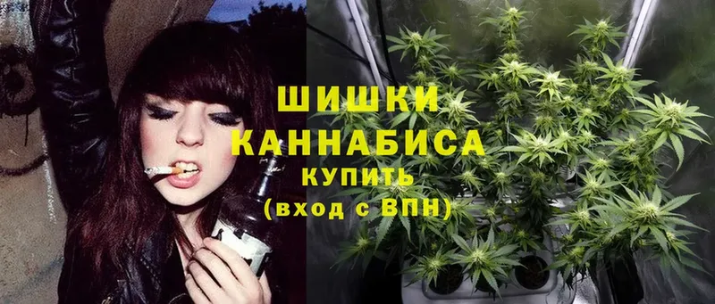 Шишки марихуана White Widow  где купить наркоту  hydra ТОР  Болхов 